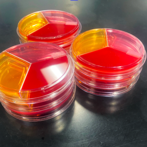 Microselect Petri Dish