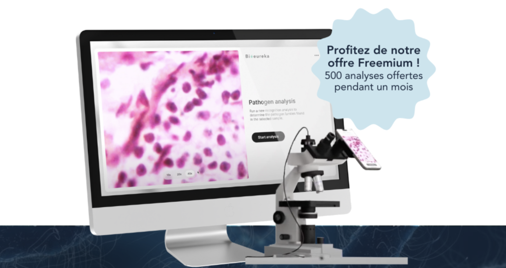 Livre Blanc : comment identifier rapidement des pathogènes avec Bioeureka